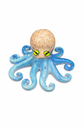 Bermuda Sand Octopus